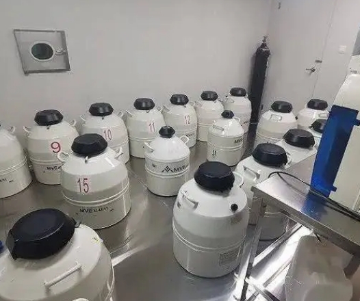 液氮罐 液氮罐